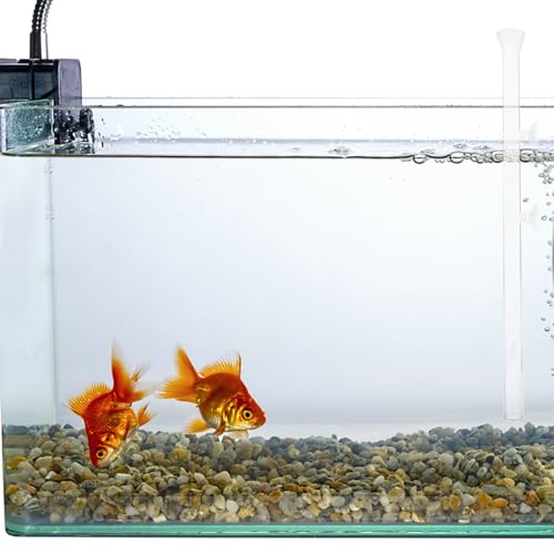 SHINEOFI Aquarium Fish Feeder Tube with Glass Feeding Dish 40cm Shrimp Feeder for Fish Tank Tools and Aquarium Shrimp Feeding
