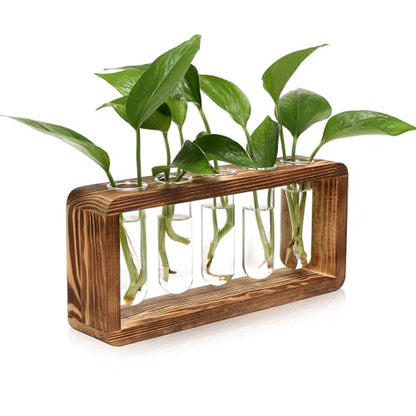 Glass Plant Propagation Station with 5 Test Tubes Planter Vase with Wooden | Stand Birthday Gifts for Women Mom Plant Lovers