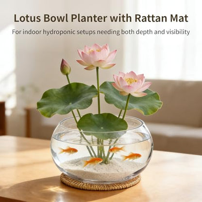 Lotus Bowl Planter with Rattan Mat, 10 in Round Glass Vase Bowl | Clear Glass , Open-Top Hydroponic Design, Handwoven Rattan Mat, For Lotus, Water Greens, Fish Bowl And Table Decor