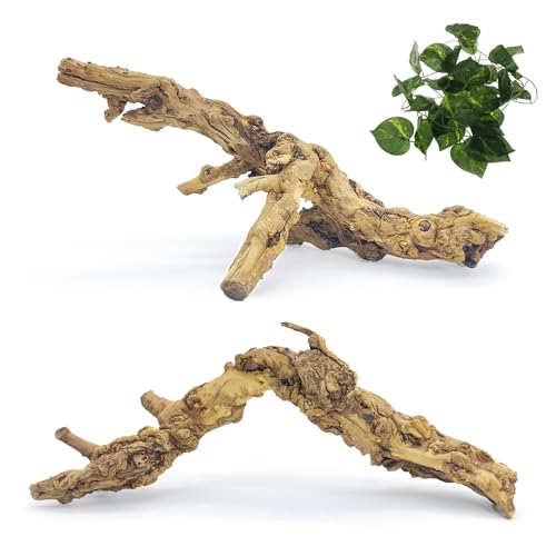 VCEPJH 2 Pack Reptile Wood Branches, Snake Climbing Branch Natural Bearded Dragon Log Tank Accessories Tree Trunk for Chameleon Gecko Snake Frog Spider - size: Pomegranate Wood (L:13.7"-15.7"-2pcs)