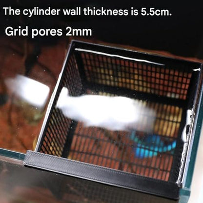 Aquarium Fry Breeding Box with Ventilation Holes Oxygen Easy Mount Easy to Mount Fish Isolation Tanks - color: Black