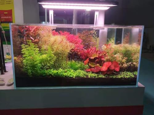 Allcolor Artisan Grade Ultra Clear Rimless Aquarium Tank (34Gal) | Low Iron Glass Fish Tank for Professional Aquascaping and Planted Layouts, 6-60 Gallons (34Gal - Anti-Jumping net) - size: 34Gal 35.4"L×15.7"W×15.7"H
