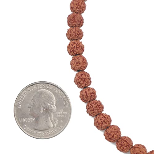 Islamic Prayer Small 6.5mm Jenitri Seed Tasbih with 99 Beads on Black Satin Cord