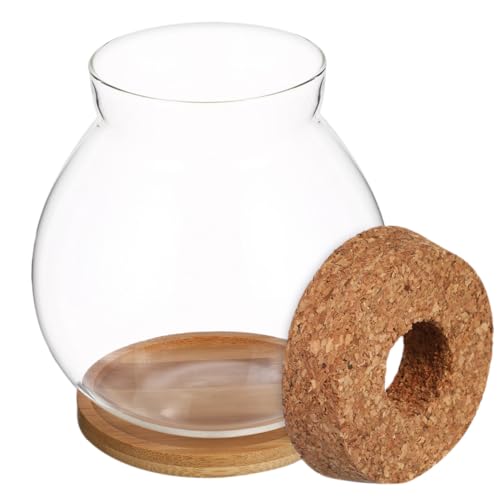 DOITOOL Small Glass Fish Bowl with Lid Mini Desktop Aquarium Hydroponic Fish Tank 10x11cm with Mat and Home Office Terrarium