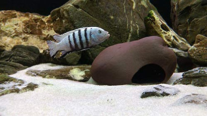Cichlid Stone Decoration - Aquarium cave for Cichlids, Betta, Small Fish - Fish Tank Hideway Decor - Betta Toys Hideout Stones House (Stone Small)