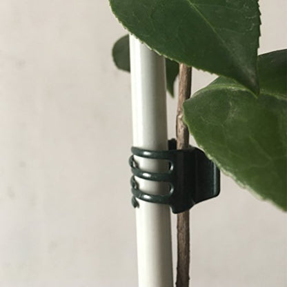 50 PCS Large Size Orchid Clips and Garden Support Clips Green (Not with Flower and Plant Spike)