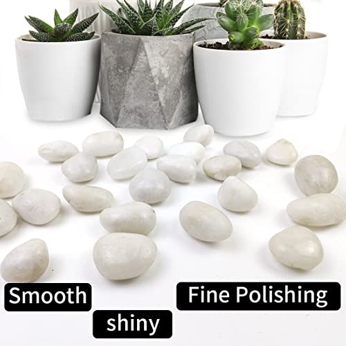 5LB Polished White River Rocks for Plants,1-2.2 Inch Polished Pebbles for Garden Decoration Stones for Landscaping Aquarium Fish Tank Succulents - size: 5LB, style: White