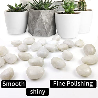 5LB Polished White River Rocks for Plants,1-2.2 Inch Polished Pebbles for Garden Decoration Stones for Landscaping Aquarium Fish Tank Succulents - size: 5LB, style: White