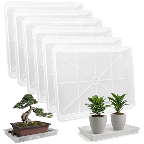 MUZHI 6 Pack Plastic Bonsai Humidity Trays, Rectangle Plant Growing Saucer Water Catcher Drip Tray, Seed Starter Drainage Tray Translucent (11.5x8.3 Inch)