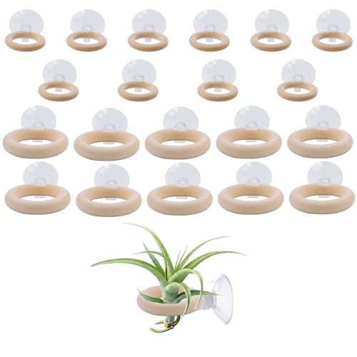 20 PCS Air Plant Holder Suction Cup, 2 Sizes Small Wooden Tillandsia Hanger with Suction Cups for Smooth Glass, Tile, Window, Metal Surface Home Decor Display (Plants Not Included)
