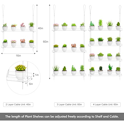 OtNiap Clear Hanging Window Plant Shelves, 2-Pack 4-Tier, 16-Inch Stand | Adjustable Indoor wall plant holder for herbs, microgreens and potted plants. Maximizes window space while displaying plants - size: 2 Pack-4 Tier