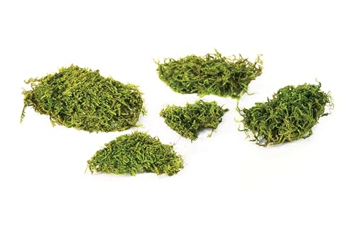 SuperMoss (22164) Feather Moss | Natural Green Moss Sheets for Crafts, Fairy Garden Decor, Wedding Table Runners, Reptile Tank Accessories, and Indoor Plant Soil Cover, 325 cu. in., Fresh Green - size: 325 cu. in.