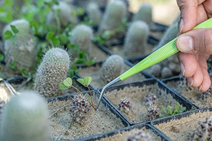 HADIZ Stainless Steel Garden Tweezer Two Piece Set with Curved Tip Tweezers for Cactus and Succulents Gardening(Curved)