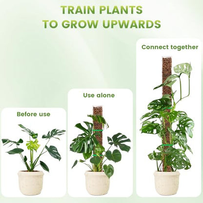 EOX 2 Pcs 24 Inch Plastic Moss Pole for Monstera, Large D Shaped Poles for Climbing Plants Work with Sphagnum Moss, 45 Inch Plant Stake Set of 2, Garden Ties - size: 2 PACK-24Inch-no moss included