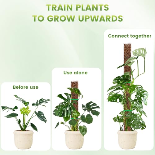 EOX 4 Pcs 24 Inch Plastic Moss Pole for Monstera, Large D Shaped Poles for Climbing Plants Work with Sphagnum Moss, 90 Inch Plant Stake Set of 4, Garden Ties - size: 4 PACK-24Inch-no moss included