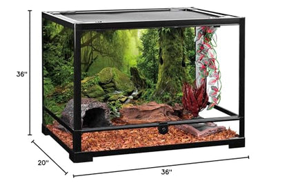 Forest Green Tree Terrarium Backdrop Reptile Habitat Background 36x20 in | AWERT Tropical Foggy Rainforest Stream Aquarium Durable Polyester Background - size: 36 x 20 inches