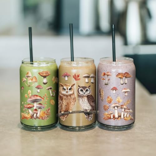 arricraft 10 Pcs Colorful Owl Theme Cup Printing UV Transfer Papers, 10 Styles Mushrooms Leaves Pine Cones Feathers UV DTF Cup Wrap Stickers for 16 OZ Glass Cups Crafts 9.5x4.3inch - style: Colorful Owl Theme