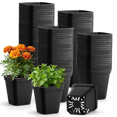 BTPLASTIK Square Nursery Pots 2.7 Inch 180 Pcs, Plastic Small Flower Pots with Drainage Holes, Sturdy Seedling pots for Planting, Cuttings (Black) - color: Black, size: 2.7 Inch-180P