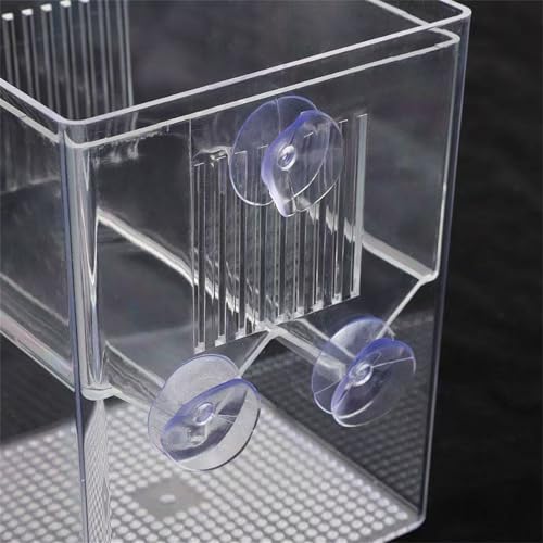 Baby Fish Breeding Box Clear Isolation Aquarium Hatchery Incubator with Suction Cups for Newborns Shrimp Fish Hatchery - color: Blue