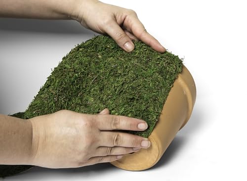SuperMoss (22432 InstantGreen Moss Mat, Fresh Green, 1.5ft x 48ft - color: Fresh Green, size: 1.5ft x 48ft