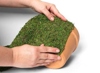 SuperMoss (22432 InstantGreen Moss Mat, Fresh Green, 1.5ft x 48ft - color: Fresh Green, size: 1.5ft x 48ft