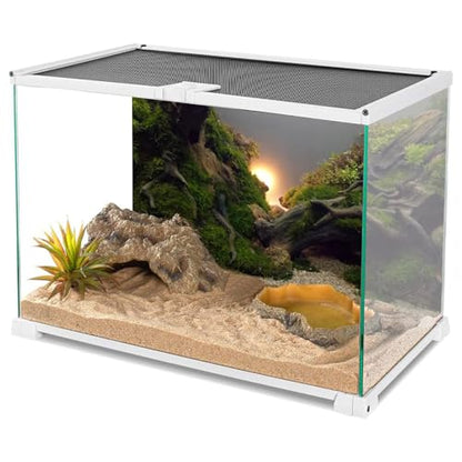 AWERT River Bed & Lake Aquarium Background Sunshine Aquatic Plant Fish Tank Background Vinyl 36x24 inches - size: 36x24in/90x60cm