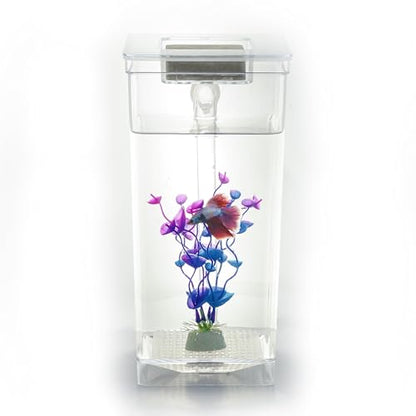 My 1st Fish Tank™ : Gen 2, Mini Fish Tank Aquarium Starter Kit 1 gal, Professional for Betta, Easny Maintain, Self Cleaning System-Only Add Water, Beautiful Color Changing LED Light, Color Box