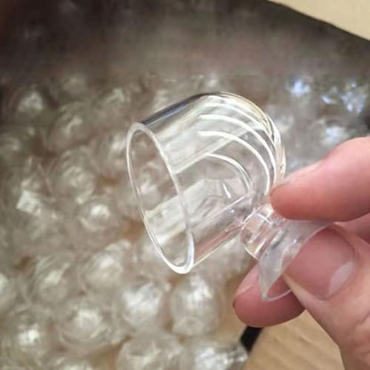 Pack of 10 Aquariums Plant Holder Suction Cup Designs Acrylic Feeding Bowl for Shrimp and Small Fish Feeding