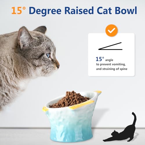 Tioncy 2 Pcs Raised Tilted Ceramic Cat Food Bowl Fish Shape Cute Elevated Slanted Shallow Angled Cat Dish Non Slip Feeder Bowl for Anti-Vomiting and Whisker Fatigue(Green, Pink) - color: Green, Pink