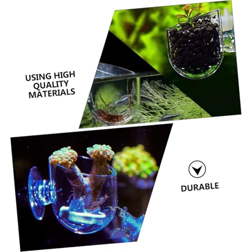 2pcs Red Aquarium Feeding Cups Acrylic Fish Food Holders with Suction Cups for Fish and Shrimp Tank Feeding Dispenser