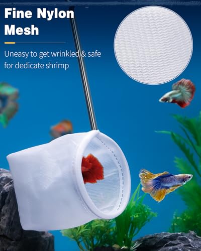 Pawfly Aquarium Shrimp Net - 3 Inch Tiny Fish Tank Net With Extendable Stainless Steel Handle, Soft Round Fine Mesh for Baby Fish, Food Residue, and Debris Skimming in Tanks & Small Ponds - color: Black Round, size: 3 Inch