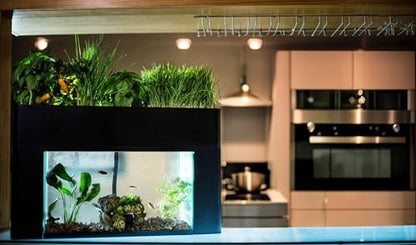 Aquaponics Garden, Self-Sustaining Desktop Aquarium Hydroponics Ecosystem Kit, fits Standard 10 Gallon Aquariums