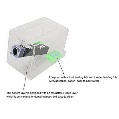 GLOGLOW Cricket Care Kit, with Feces Layer Acrylic Feeding Cricket Keeper with a Food Feeding Tub Care Kit Reptile Tank Box for Observation of Breeding