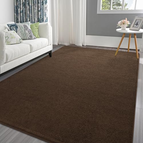 Pettop 5x7 ft Brown Area Rugs for Bedroom Living Room, Washable Memory Foam Indoor Carpet, Modern Aesthetic Minimalist Non Slip Soft Comfy Carpet for Boys Girls Dorm Home Decor - color: Brown, size: 5' X 7' (Rectangular)