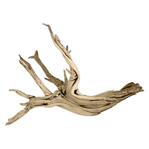 Koyal Wholesale 24" Driftwood Terrarium Decor, Clean California Manzanita Drift Wood Reptile Decor, Driftwood Decor for Home, Desert Reptile Supplies - size: 24 Inches