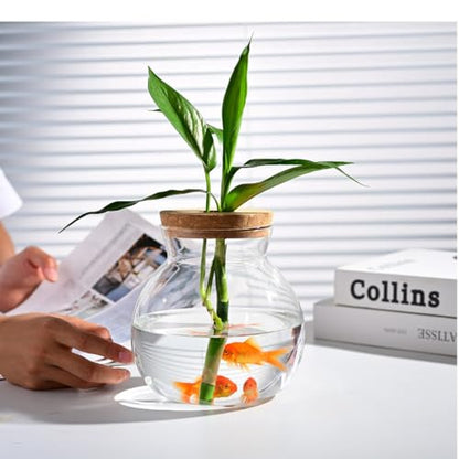 Small Fish Bowl, Cute Betta Tank, High Clear Fish Glass Bowl, Desktop Mini Aquarium Vases for Betta Fish and Hydroponic Plants, Plants Propagation Station, Home Office Table Decorations