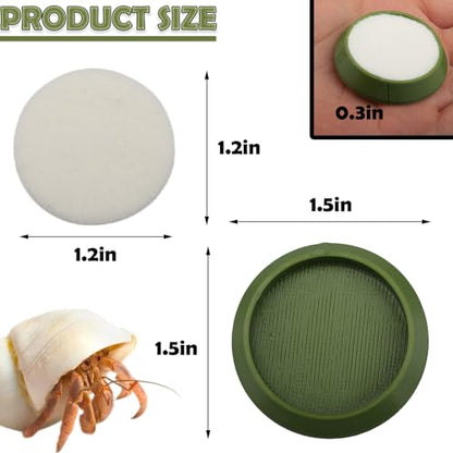 6 Pcs Cricket Water Bowl Plastic Reusable Feeding Dish Mini Bowl with 6 Pcs Sponge for Hermit Crab Cricket Scorpion Ant Isopod Invertebrate (Green)