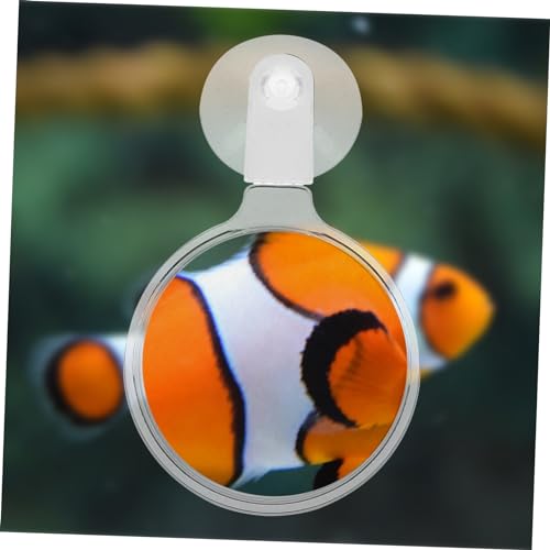 Toyvian Cup Glass for Fish Tanks for Observing Betta Fish Plants and Small Aquatic Creatures Easy Installation Stability