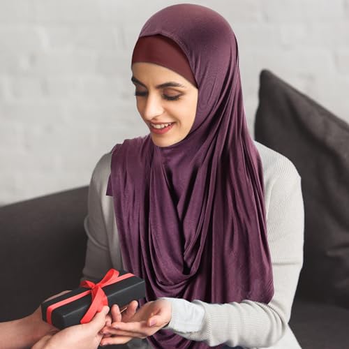 Handepo 2 Pcs Instant Hijab Jersey Hijab for Women Muslim Head Scarf Soft Lightweight Long Stretch Scarf Shawl Wrap - color: Purple, Wine Red