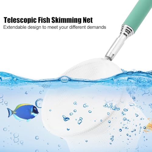 Green/Red Square Round Metal Aquarium Fish Net Mini Size Extendable Telescopic Fish Shrimp Landing Net Aquarium Fish Tank Tool - style: Green Round