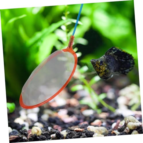 GALPADA 10pcs Small Fishing Nets for Boy Girl Fine Mesh Fish Catching Nets for Aquariums and Pools Lightweight and Design for Easy Use Random Colors