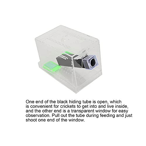 GLOGLOW Cricket Care Kit, with Feces Layer Acrylic Feeding Cricket Keeper with a Food Feeding Tub Care Kit Reptile Tank Box for Observation of Breeding