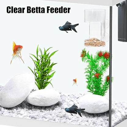 Betta Fish Feeder - Fish Feeding Tube, Clear Feeding Tube Shrimp Feeder | Shrimp Feeding Dish, Betta Feeder with Suction Cup, Transparent Aquarium Feeder Bird Feeder, Fish Tank Accessories for Fish - size: round