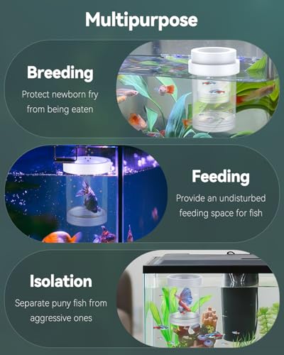 Pawfly Breeder Box for Fish Tank, Aquarium Fish Breeding Box, Floating Guppy Breeder Box, Baby Fish Separator for Aquarium, Plastic Hatchery Incubator Isolation Box for Shrimp Betta Clownfish, Medium - size: Medium