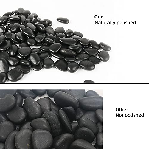 Black Pebbles for Plants 18lb 0.5"- 1" Aquarium Gravel Decorative Polished Stones Natural River Rocks for Fish Tank - size: 18LB, style: Black
