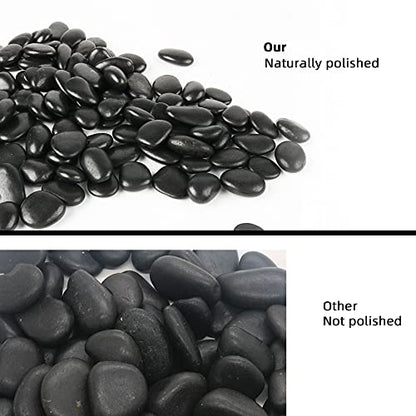 45lb Black Pebbles for Plants,Potting,Succulents Aquarium Fish Tank Vases Decorative Garden Polished Gravel Rocks Stones - size: 45LB, style: Black