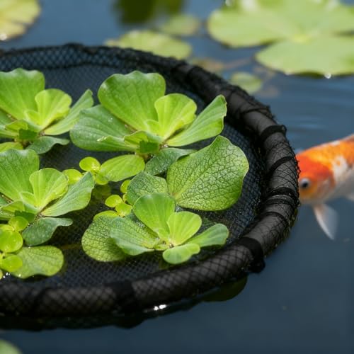 2 Pieces Floating Plant Fish Barrier Pond Plant Protector | Round pond plant protector protects your floating plants from pond fish