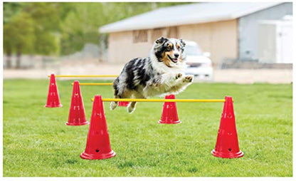 Dog Agility Course Equipment- Hurdle Cone Set – Obstacle Agility Training Kit for Doggie, Pet Outdoor Backyard Game