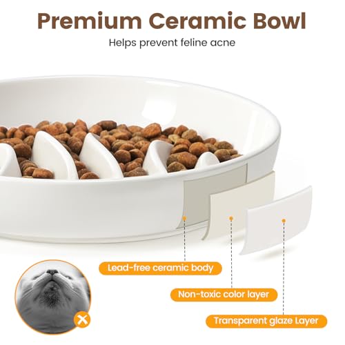 PETTOM Slow Feeder Cat Bowl Elevated Ceramic with Bamboo Stand, Raised Pet Puzzle Dishes for Indoor Cats Small Dog, Anti Vomit Cat Bowl for Wet & Dry Food - color: White-fishbone