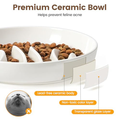 PETTOM Slow Feeder Cat Bowl Elevated Ceramic with Bamboo Stand, Raised Pet Puzzle Dishes for Indoor Cats Small Dog, Anti Vomit Cat Bowl for Wet & Dry Food - color: White-fishbone